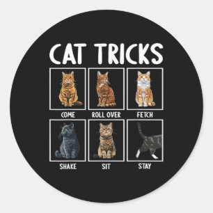 Cats Funny Cat Tricks Classic Round Sticker