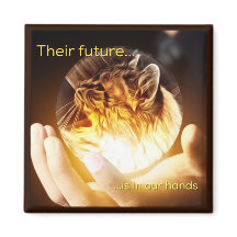 Cats Future in Our Hands