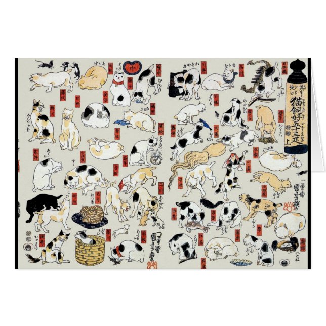 Cats Galore (Front Horizontal)