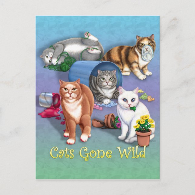 Cats Gone Wild Postcard (Front)
