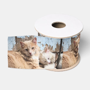 Cats Grosgrain Ribbon
