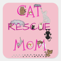 CAT'S Happy Mother Day To Rescue Mom!