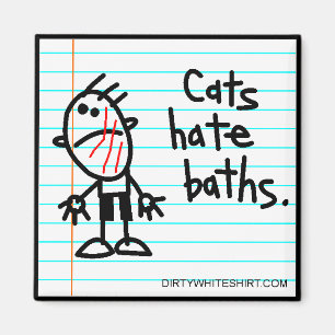 Cats hate baths. magnet