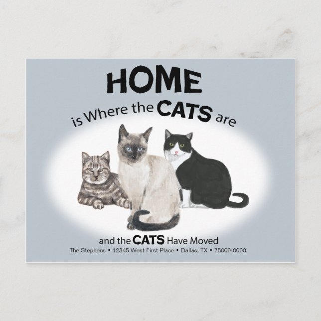 Cats Have Moved Postcard (Front)