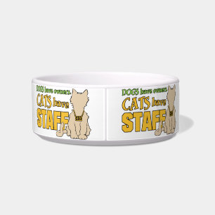 CATS HAVE STAFF custom pet bowl