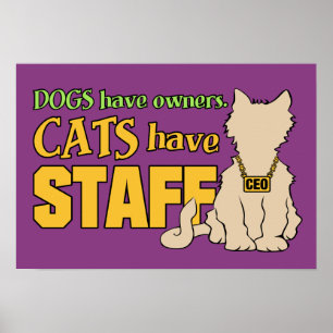 CATS HAVE STAFF custom poster