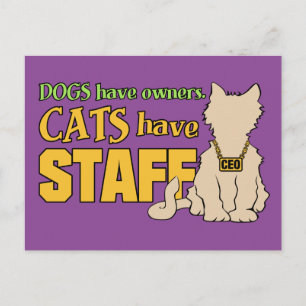 CATS HAVE STAFF postcard