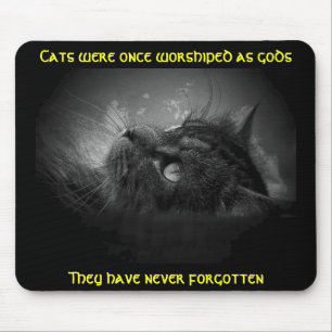 Cats haven't forgotten Meme Mouse Pad