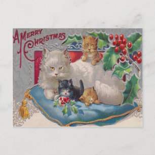 Cats & Holly Postcard