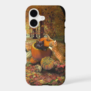 Cats in Autumn 😸