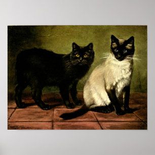 Cats in Black and White Poster