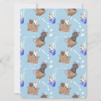 Cats in box and milk drops on blue