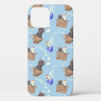 Cats in box and milk drops on blue