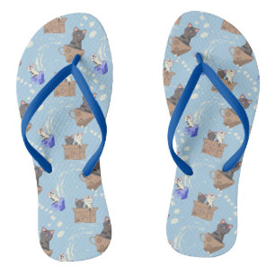 Cats in box and milk drops on blue flip flops