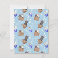 Cats in box and milk drops on blue