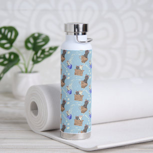 Cats in box and milk drops on blue water bottle
