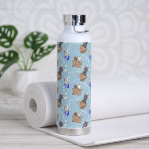 Cats in box and milk drops on blue water bottle