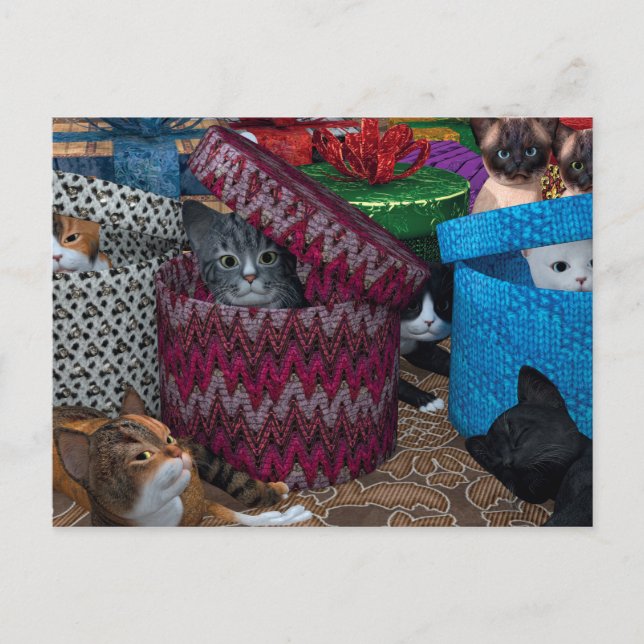 Cats In Boxes Postcard (Front)
