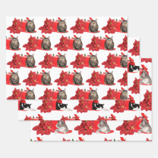 Cats in Christmas mail box Wrapping Paper Sheet