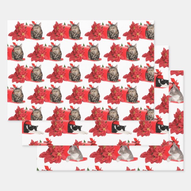 Cats in Christmas mail box Wrapping Paper Sheet (Set)