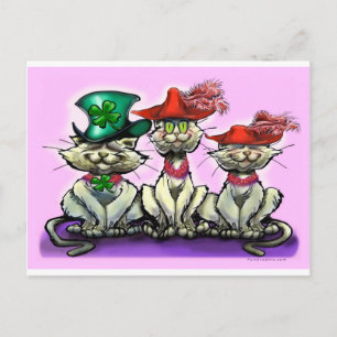 Cats in Funny Hats Postcard