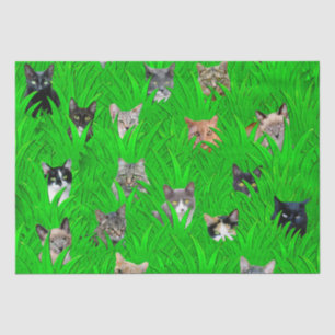 Cats in Grass Tissue Paper
