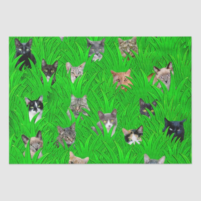 Cats in Grass Tissue Paper (Front)