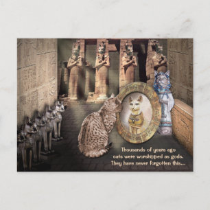 Cats in Old Egypt Postcard