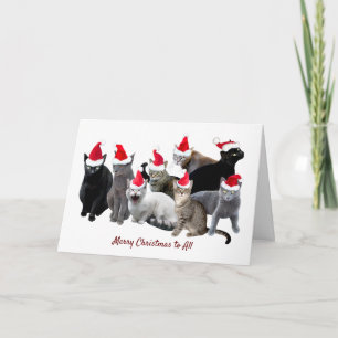 Cats in Santa Hats Christmas Card