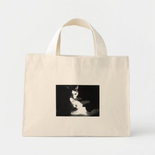 Cats in the Bag