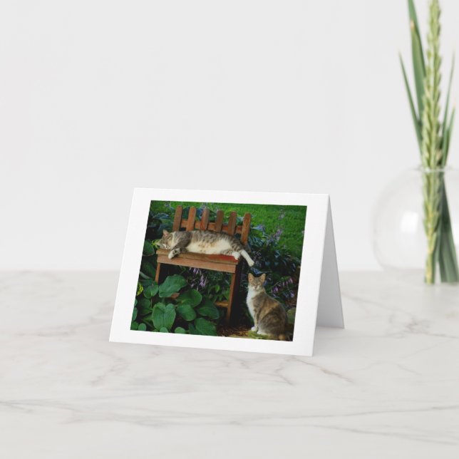 Cats in the Garden Card (Front)