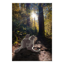 Cats in the Oregon woods