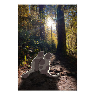Cats in the Oregon woods Photo Print