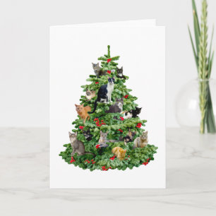 Cats in Tree Holiday Card