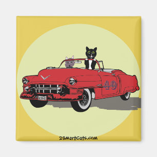 Cats Joy Riding Square Magnet