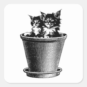 Cats Kittens In Flower pot Animal Pets Art Square Sticker