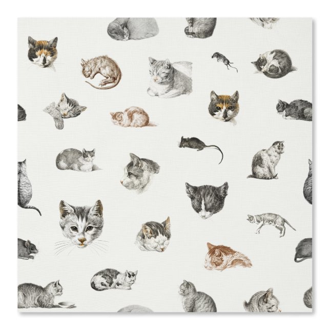 Cats Kittens Mice Cat Lady Chinoiserie Toile Wallpaper (Front)