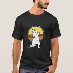 Cats Know How To Stretch Retro Yoga Cat Present 1 T-Shirt