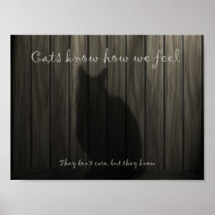 Cats Know how we Feel Poster