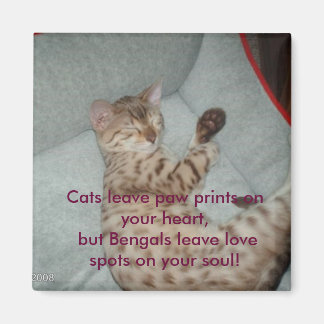Cats leave paw prints on your heart, but... magnet