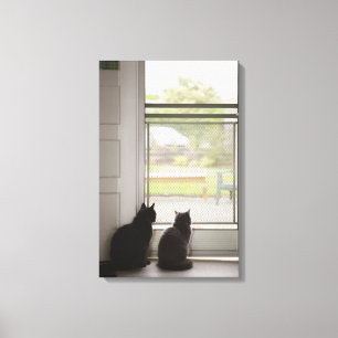 Cats looking out screen door canvas print