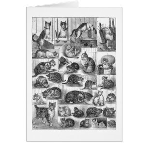 Cats, Louis Wain