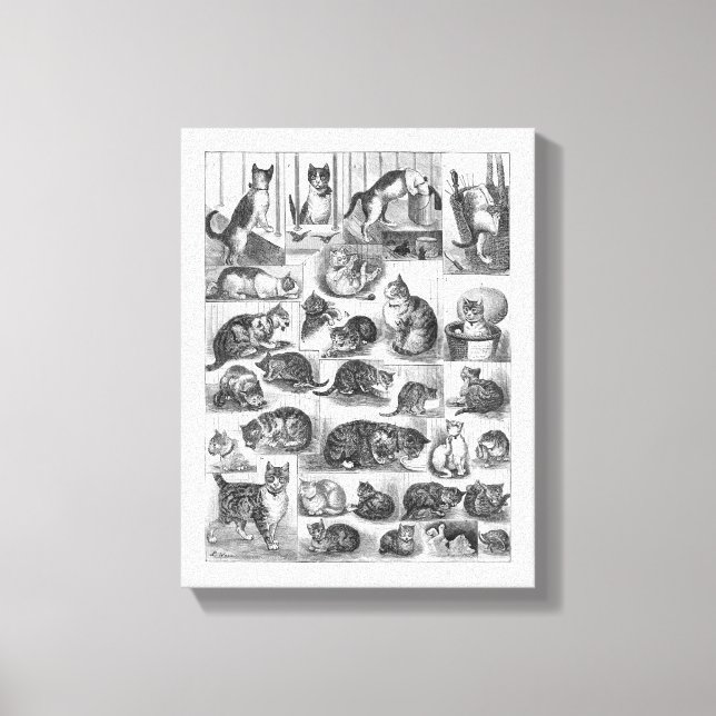Cats, Louis Wain Canvas Print (Front)