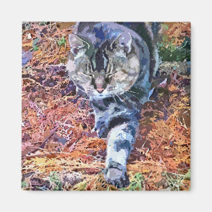 CATS MAGNET
