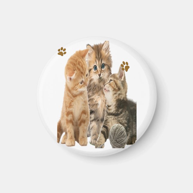 Cats Magnet (Front)