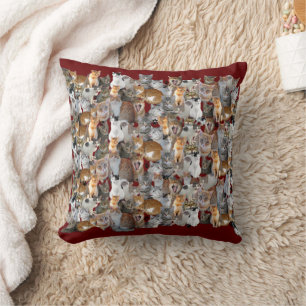 Cats meeting point throw pillow
