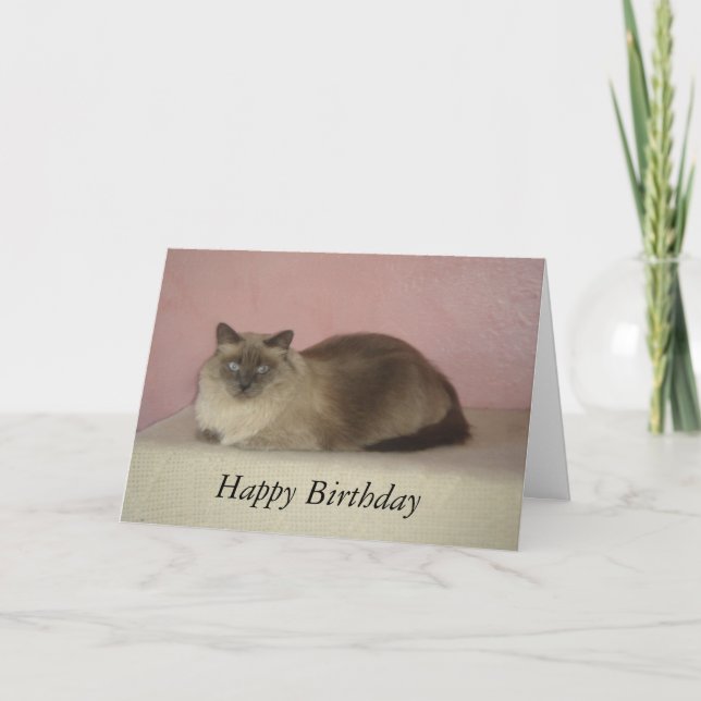 Cat's Meow Birthday Card (Front)