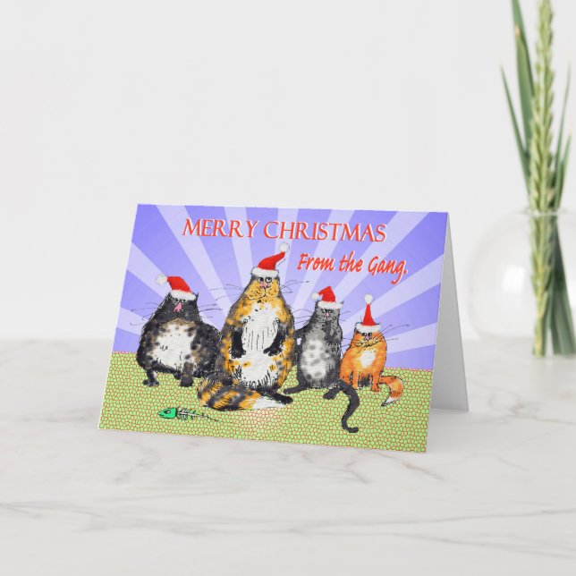 Cats, merry Christmas from the gang, humour Holiday Card (Front)