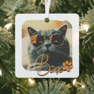 Cat's Modern Simple Cool Grunge Name and Photo Metal Ornament
