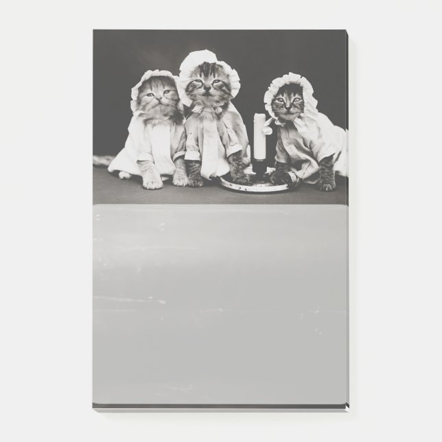 Cats - Notes (Front)